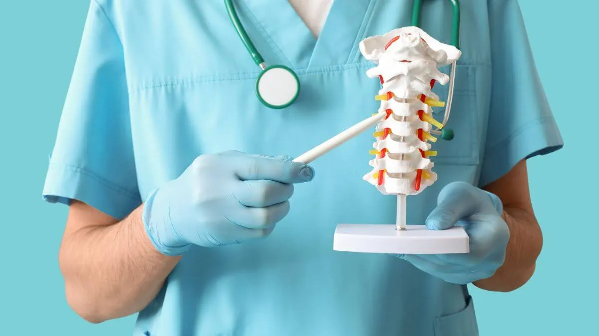 Spinal Decompression Supports Long-Term Spine Health Spinal Decompression Supports Long-Term Spine Health